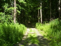 Abandoned Hamburg Turnpike Photo