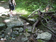 Abandoned Hamburg Turnpike Photo