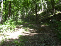 Abandoned Hamburg Turnpike Photo