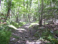 Abandoned Hamburg Turnpike Photo