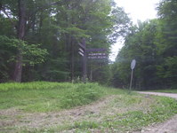 Allegany State Park Photo