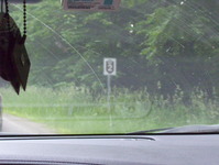 Allegany State Park Photo