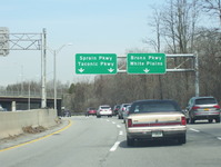 Bronx River Parkway Photo