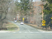 Bronx River Parkway Photo