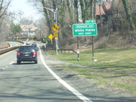 Bronx River Parkway Photo