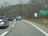 Bronx River Parkway Photo