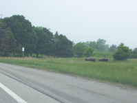 Interstate 90/New York State Thruway Photo