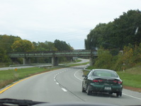 Lake Ontario State Parkway Photo