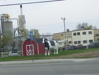 NY 12 Photo