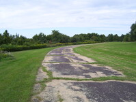 NY 12 Photo