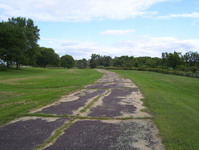 NY 12 Photo