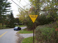 NY 137 Photo