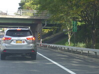 NY 146 Photo