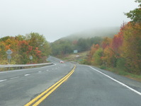 NY 23 Photo