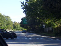 NY 231 Photo