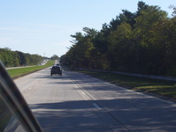 NY 231 Photo