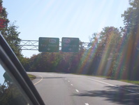 NY 231 Photo