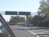 NY 231 Photo