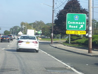 NY 231 Photo