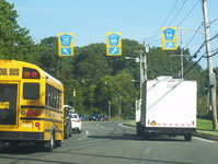 NY 231 Photo