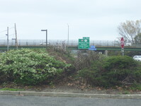 NY 27 Photo