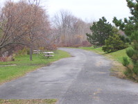 NY 37 Photo