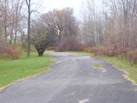 NY 37 Photo