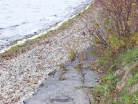 NY 37 Photo