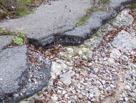 NY 37 Photo