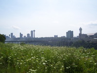 NY 384 Photo