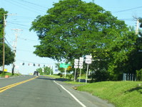 NY 385 Photo