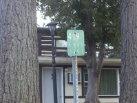 NY 419 Photo
