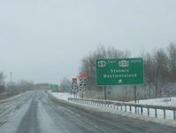 NY 49 Photo