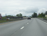 NY 49 Photo