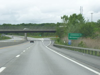 NY 49 Photo