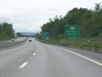 NY 49 Photo