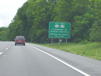 NY 49 Photo