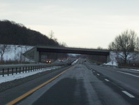 NY 49 Photo