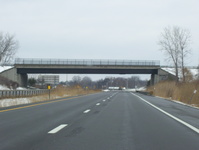 NY 49 Photo