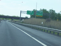 NY 49 Photo