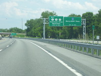 NY 49 Photo
