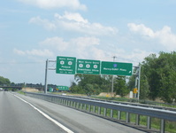 NY 49 Photo
