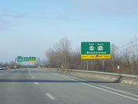 NY 49 Photo