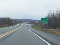 NY 5S Photo
