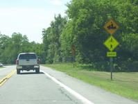 NY 5S Photo