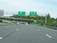 NY 7 Photo