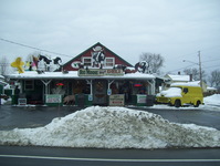 NY 7 Photo