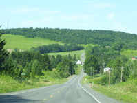 NY 80 Photo