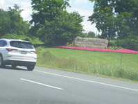 Queen Elizabeth Way Photo