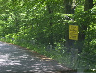 Mount Equinox Skyline Drive Photo